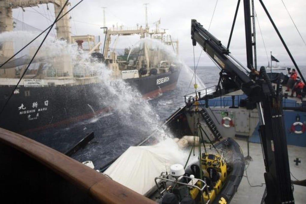 Japanese whale hunter Nisshin Maru (left) fires water cannons at the Sea Shepherd ship Steve Irwin in Antarctic waters. Photo: Reuters