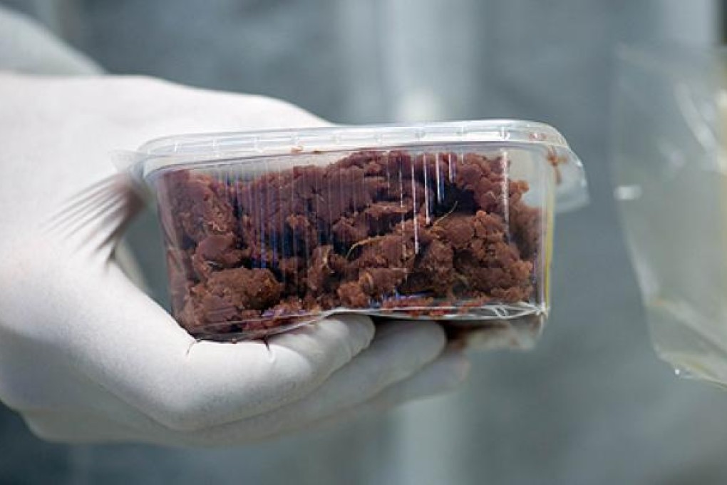 A sample of meat product undergoes testing for horse DNA. Photo: AFP
