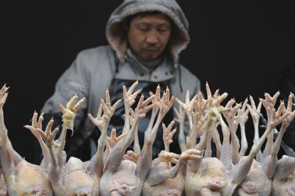 China is considered one of the nations most at risk from bird flu epidemics because it has the world's biggest poultry population. Photo: Reuters