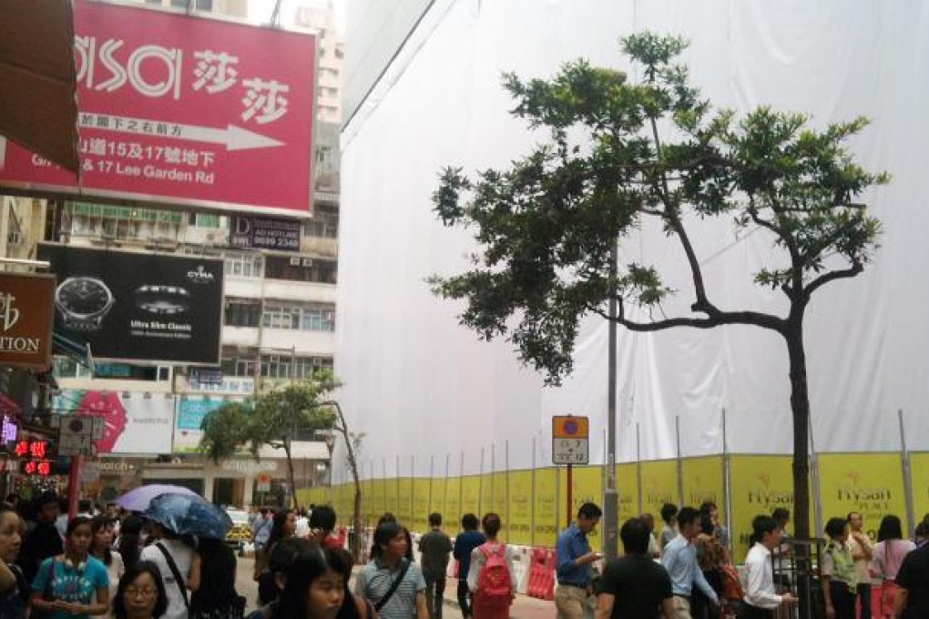 The original trees outside Hysan Place. Behind them is the Apple store being built last year. Photo: SCMP