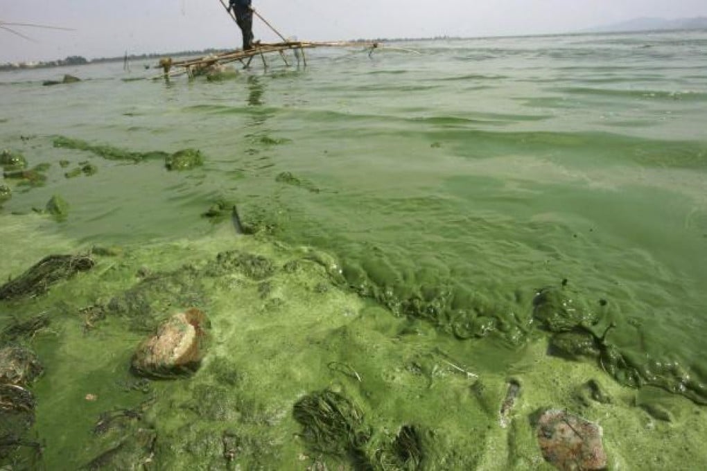 Draft bill to prioritise economic growth as usual over much needed green reforms on mainland. Photo: Reuters