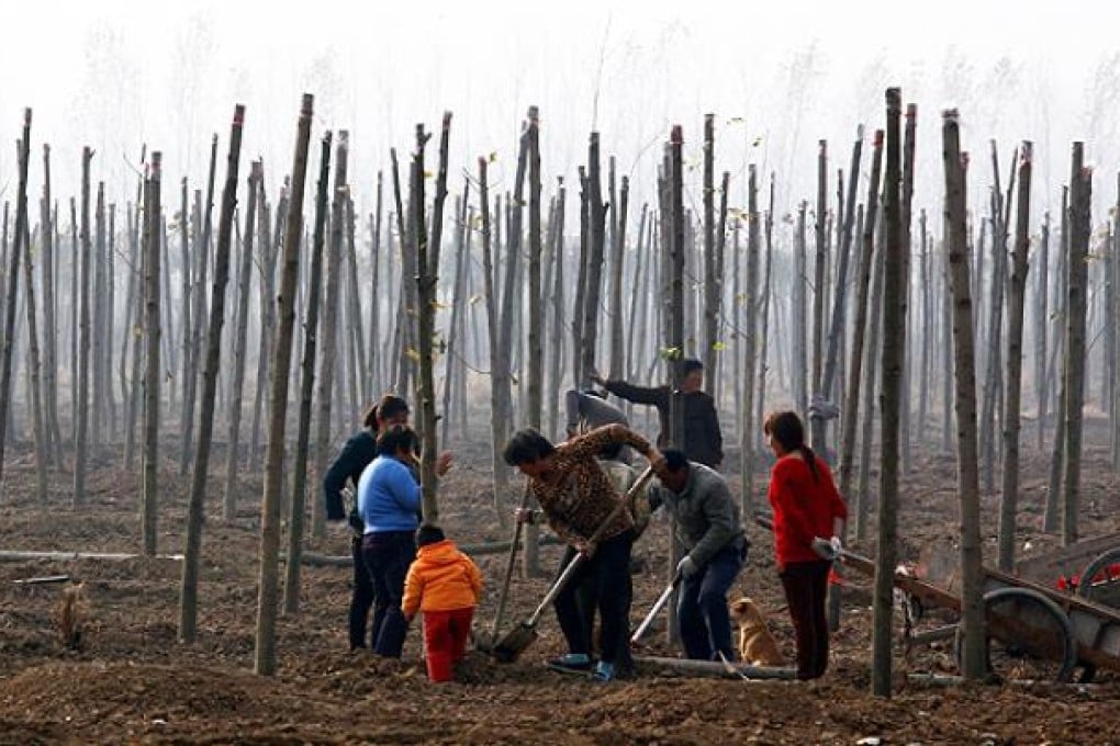 Planting trees near a lead smelter in Anhui. Photo: Reuters