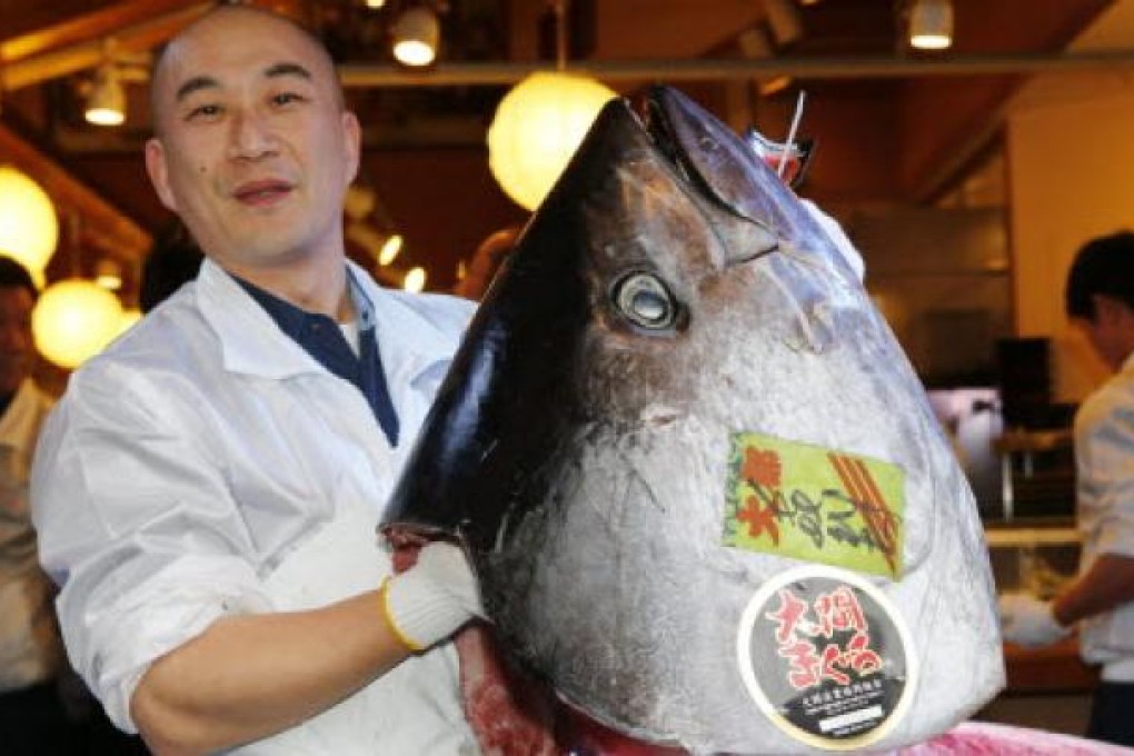 A Japanese man poses with a head of a bluefin tuna at Sushi Zanmai restaurant near a fish market in Tokyo. Experts are worried about decling tuna stocks. Photo: AFP