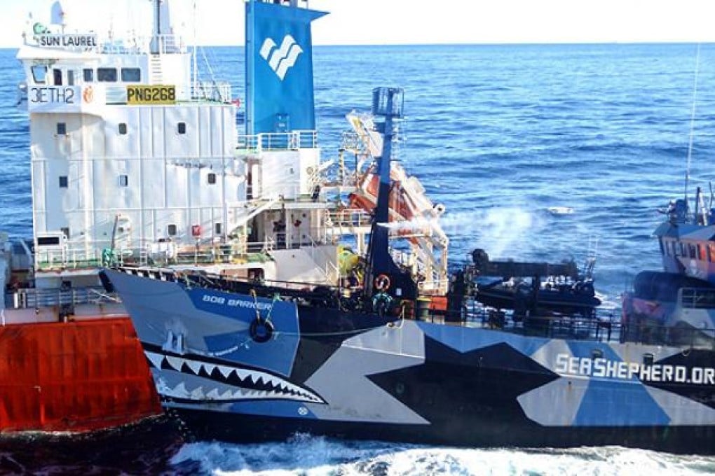 Sea Shepherd ship Bob Barker collides with the Japanese whaling fleet fuel tanker the San Laurel. Photo: AFP