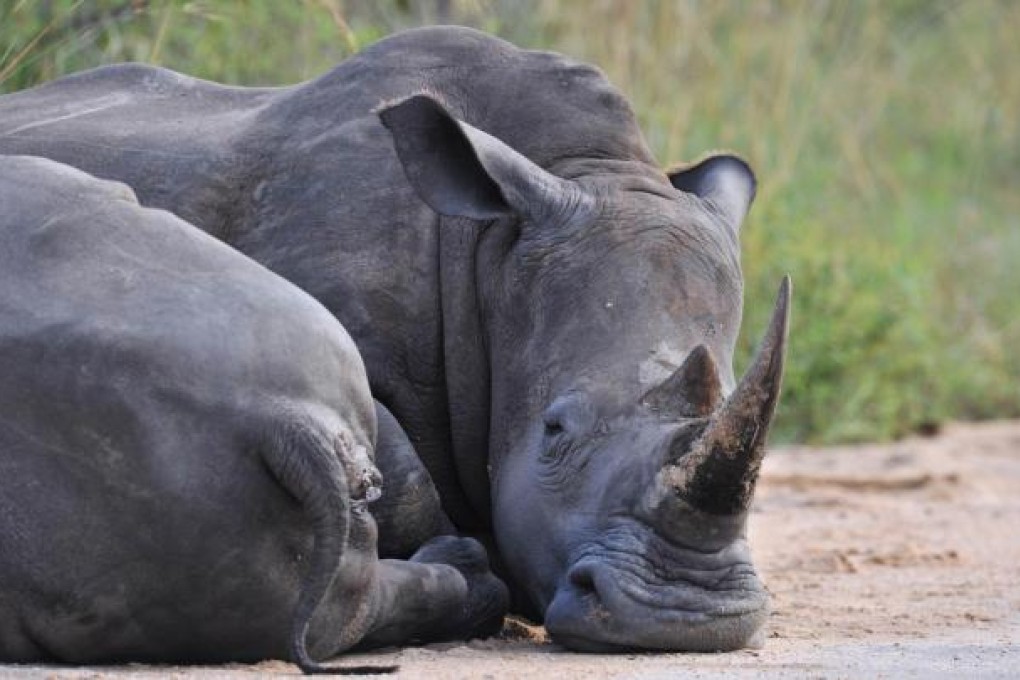 Endangered species issue gets heard