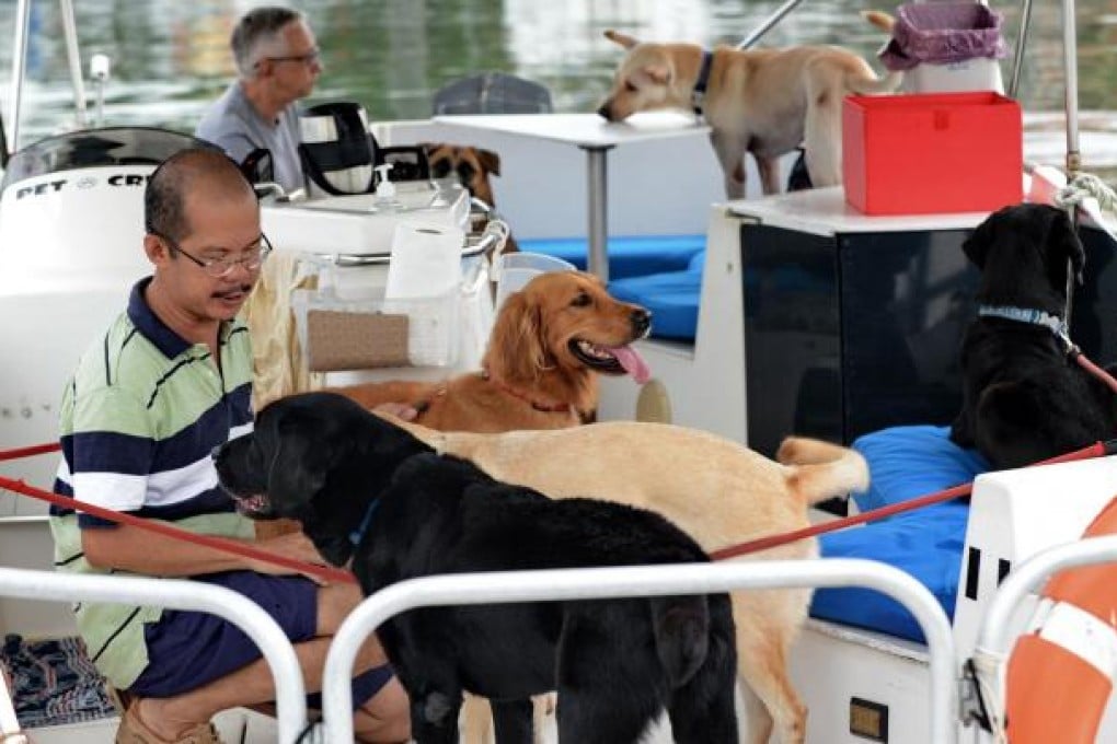 Pet Cruise boss Joe Howe tends to dogs on his boat. Photo: AFP