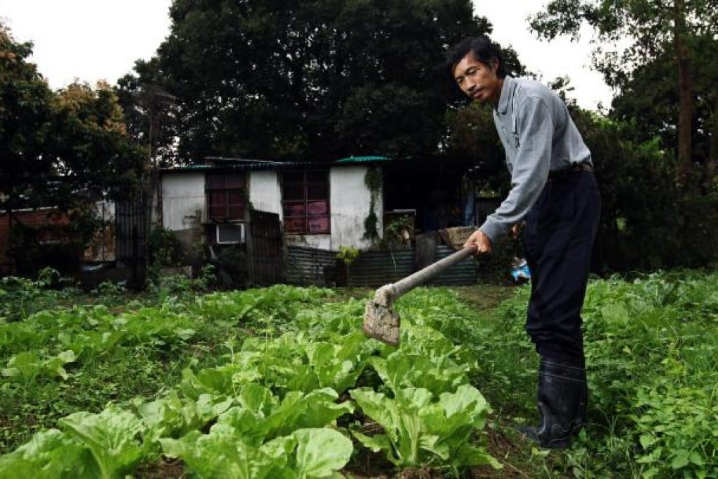 Farmer Leung Chi-wan works some organic magic on his farm in Kam Sheung Road, Yuen Long, which the public are welcome to visit. Photo: Sam Tsang