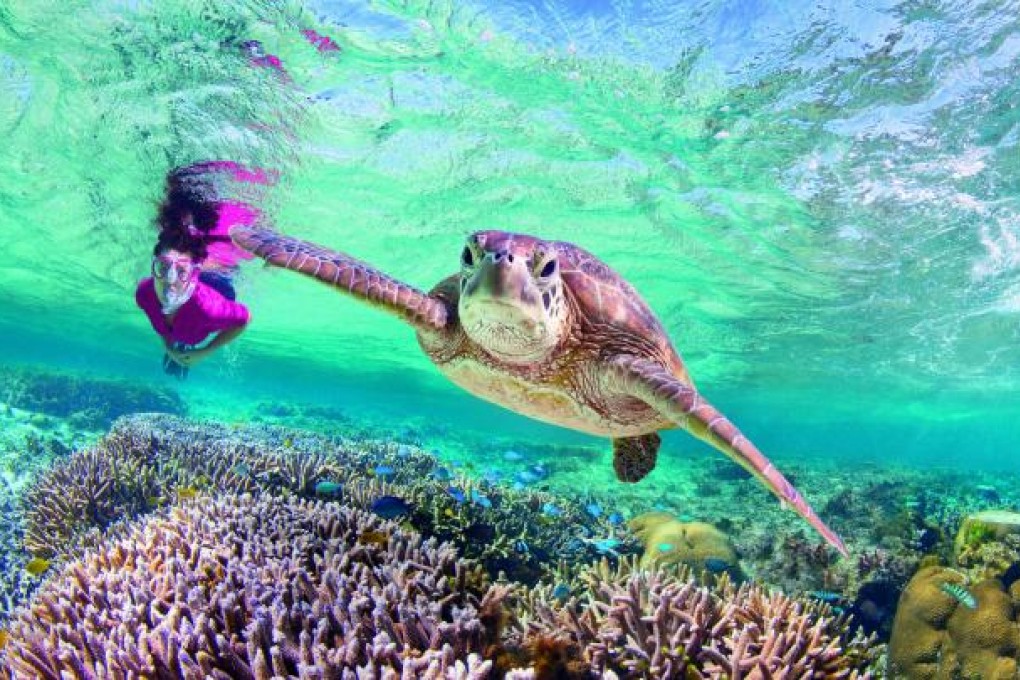 Australia is hoping its A$4 million "dream jobs" campaign will lure more young travellers to the country. Photo: Tourism Australia