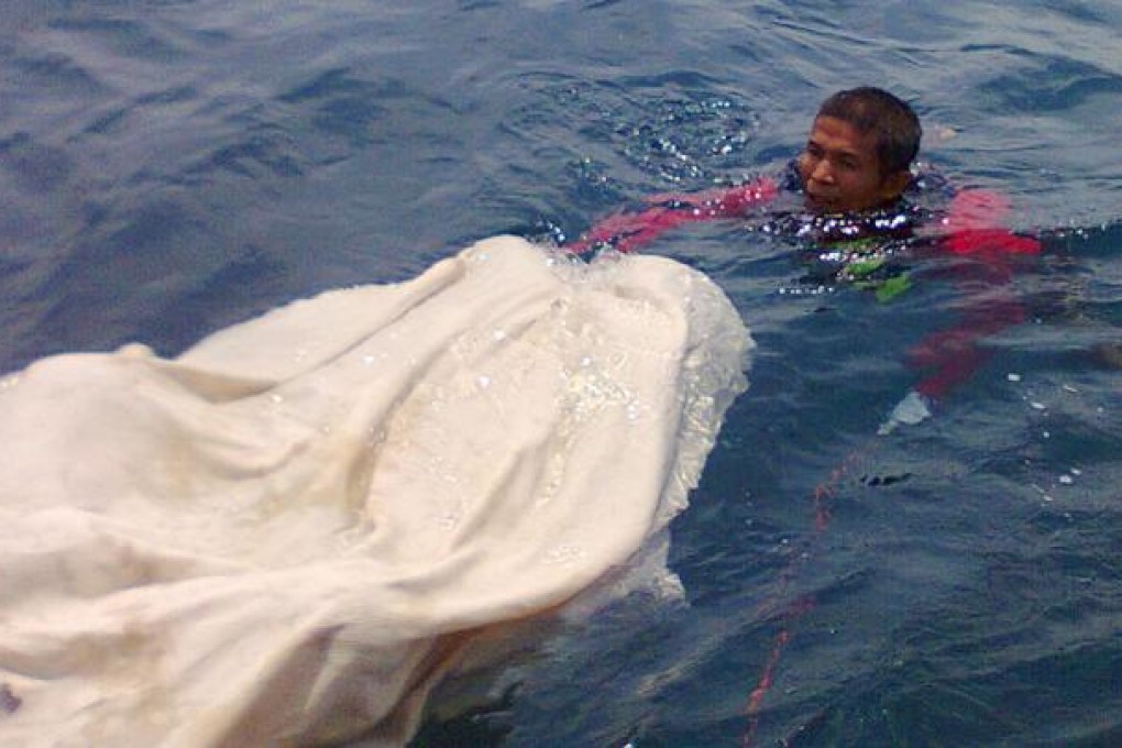 A volunteer for the Red Cross Rescue Service recovers one of two bloated bodies found in an area near Phuket on February 26 and 27. Photos: SCMP Pictures