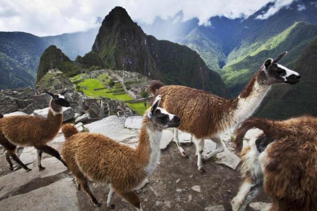 llamas negotiate a rise overlooking Machu Picchu. Photos: Corbis; Cameron Dueck