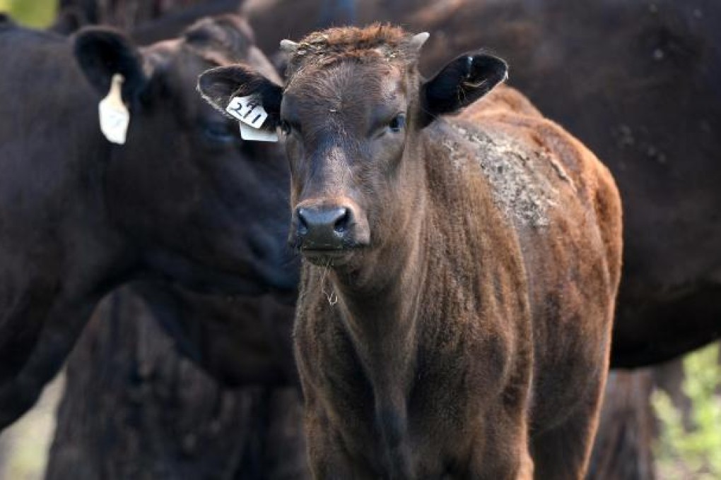 More Chinese companies are interested in investing in Australian agriculture. Photo: Bloomberg