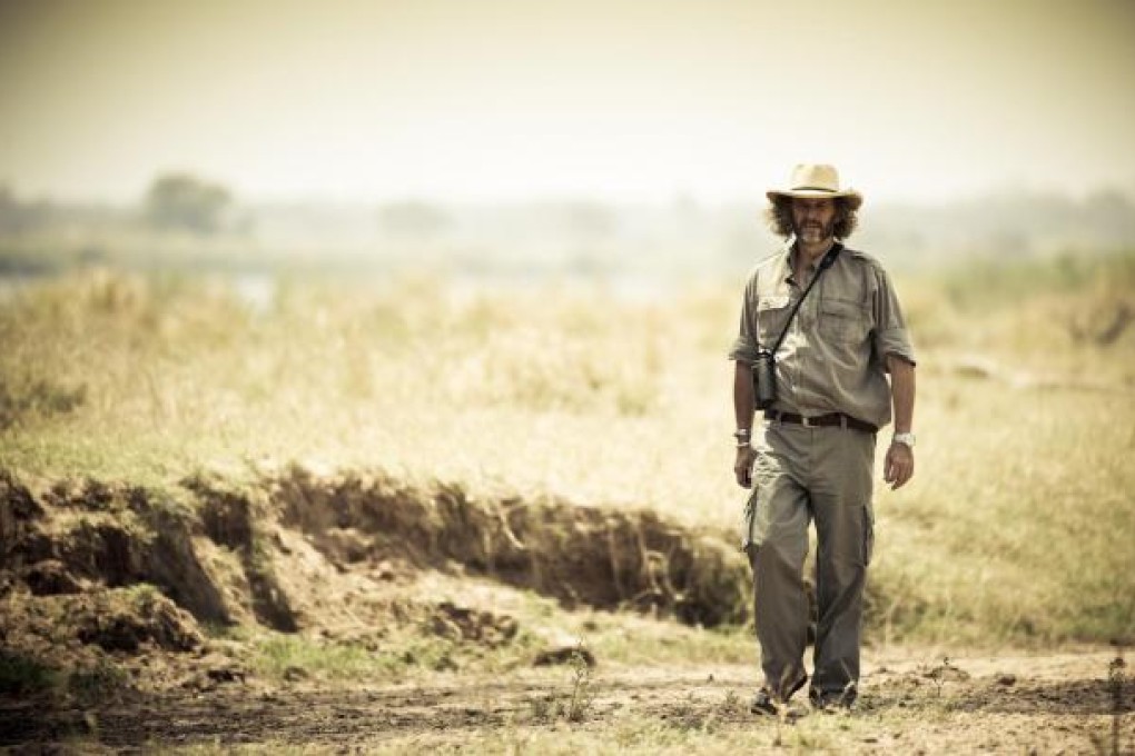 Patrick Mavros' work taps into the primal instincts of the African bush.