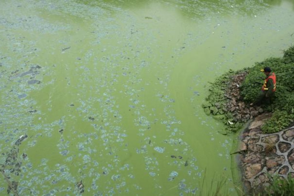 Taihu Lake, struck by a rapidly spreading canopy of algae, in Wuxi, east China's Jiangsu province. China aims to spend US$850 billion to improve filthy water supplies over the next decade, but even such huge outlays may do little to reverse damage caused by decades of pollution. Photo: Reuters