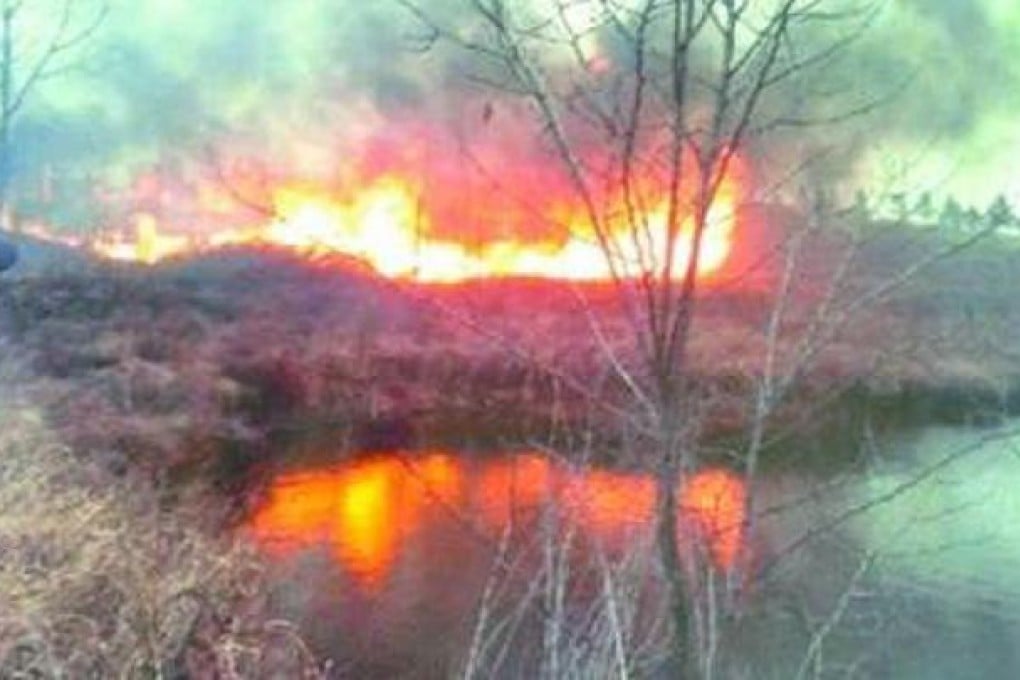 Photo showing the burning poplar trees. Photo: Handout