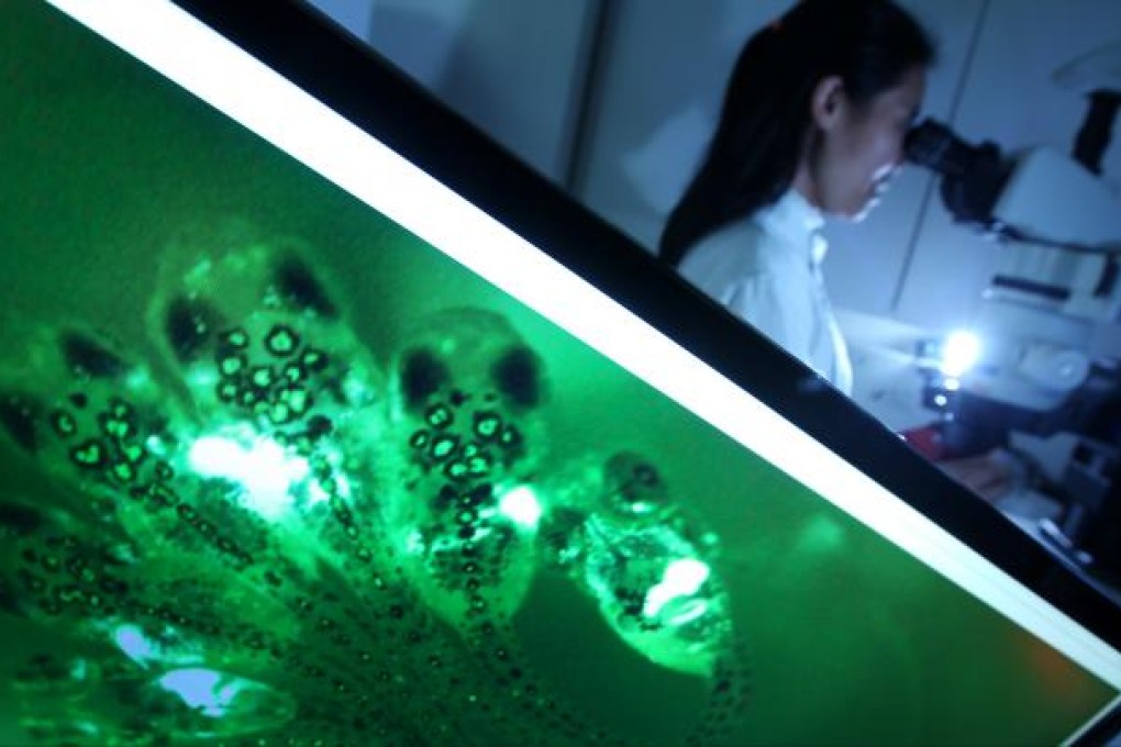 Laboratories have demonstrated endocrine disruption on human hormones. Photo: Felix Wong