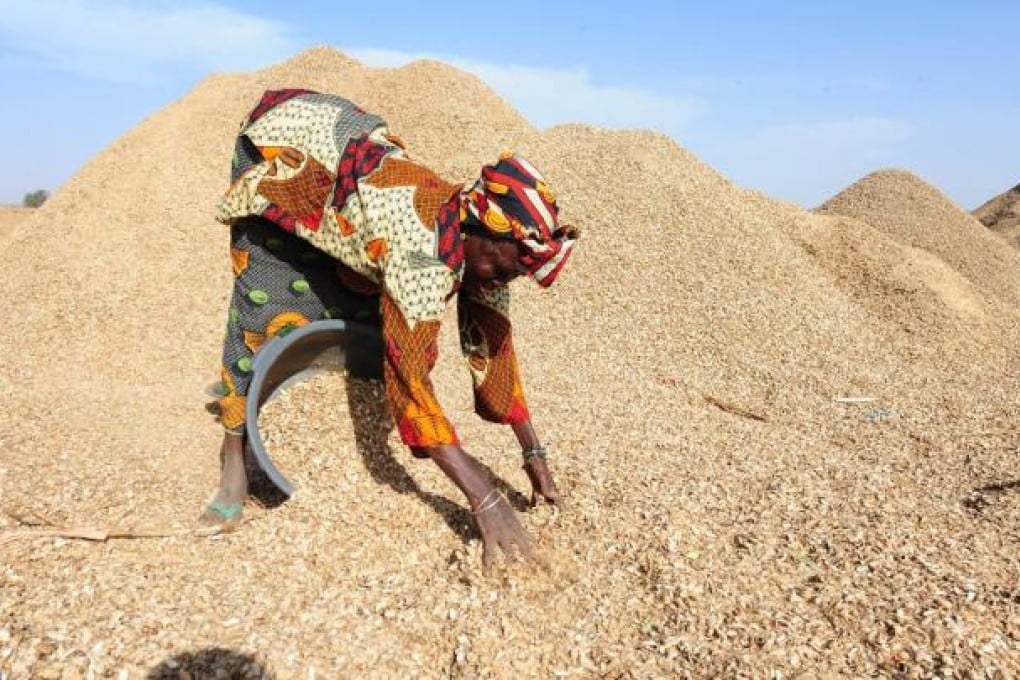 A woman works amid heaps of peanuts at a Chinese-owned warehouse in the central Senegalese village of Dinguiraye. Photo: AFP