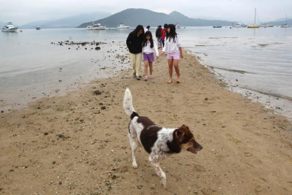 Lung Mei beach in Tai Mei Tuk. Photo: SCMP