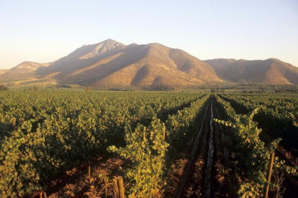 The region of Santa Rita, located south of Santiago