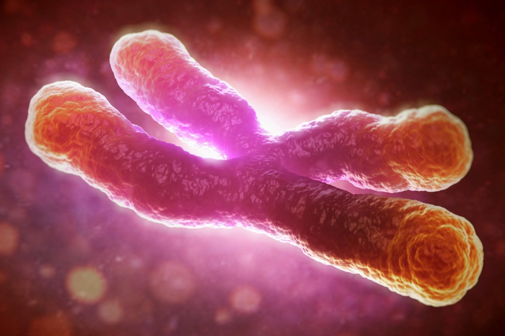 Researchers have taken a step forward in the fight against the cancer with the mapping of the cellular "fountain of youth": the enzyme telomerase.