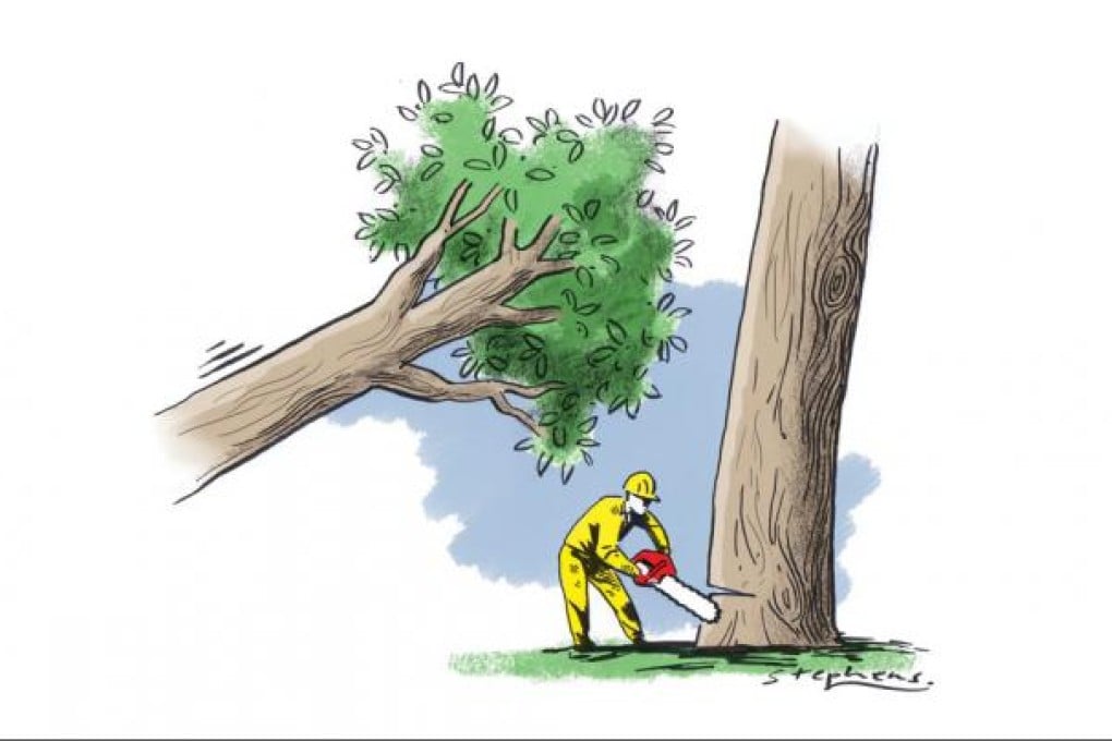 Deforestation to blame for Beijing's pollution