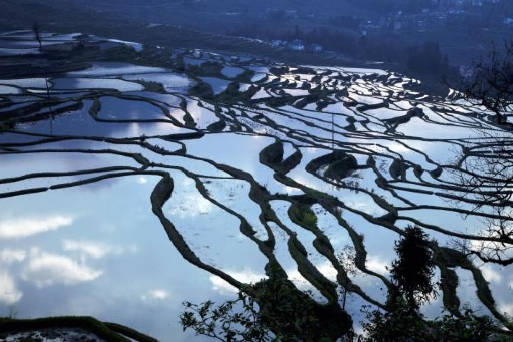 An early morning view of the Hani rice terraces from Duoyishu village.