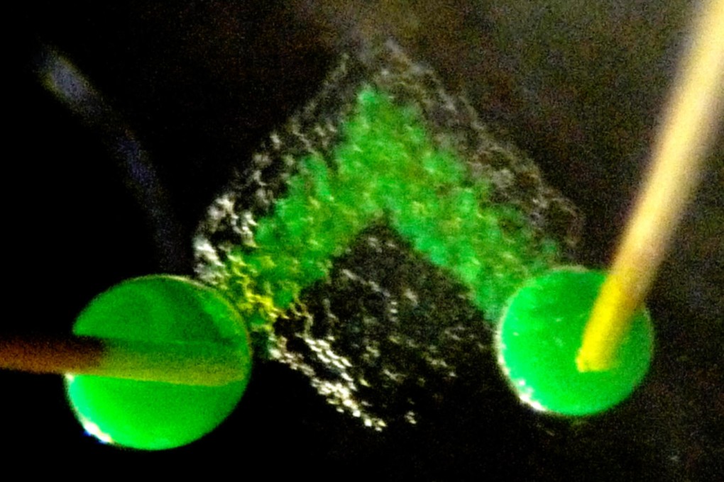 Oxford scientists have custom-built a 3-D printer that can create a new type of material with the properties of living tissues