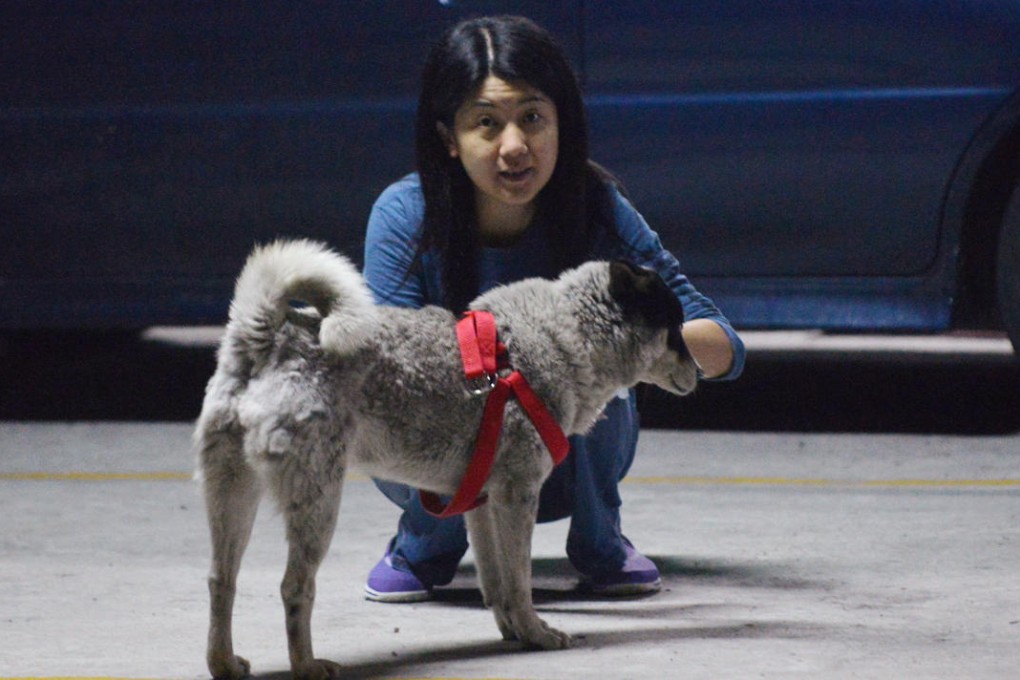 A Tuen Mun resident plays with Siu Pak, who likes to hang around Shun Tat Street. Photo: Thomas Yau