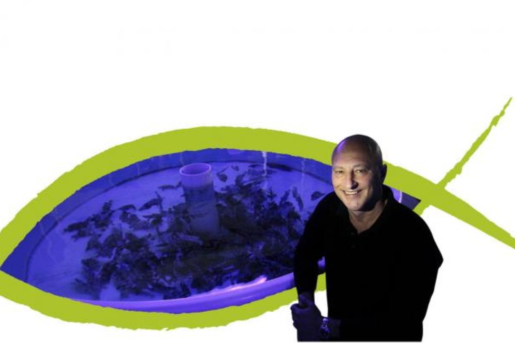 Lloyd Moskalik of OceanEthix at a fish farm in Fo Tan. Photo: Dickson Lee