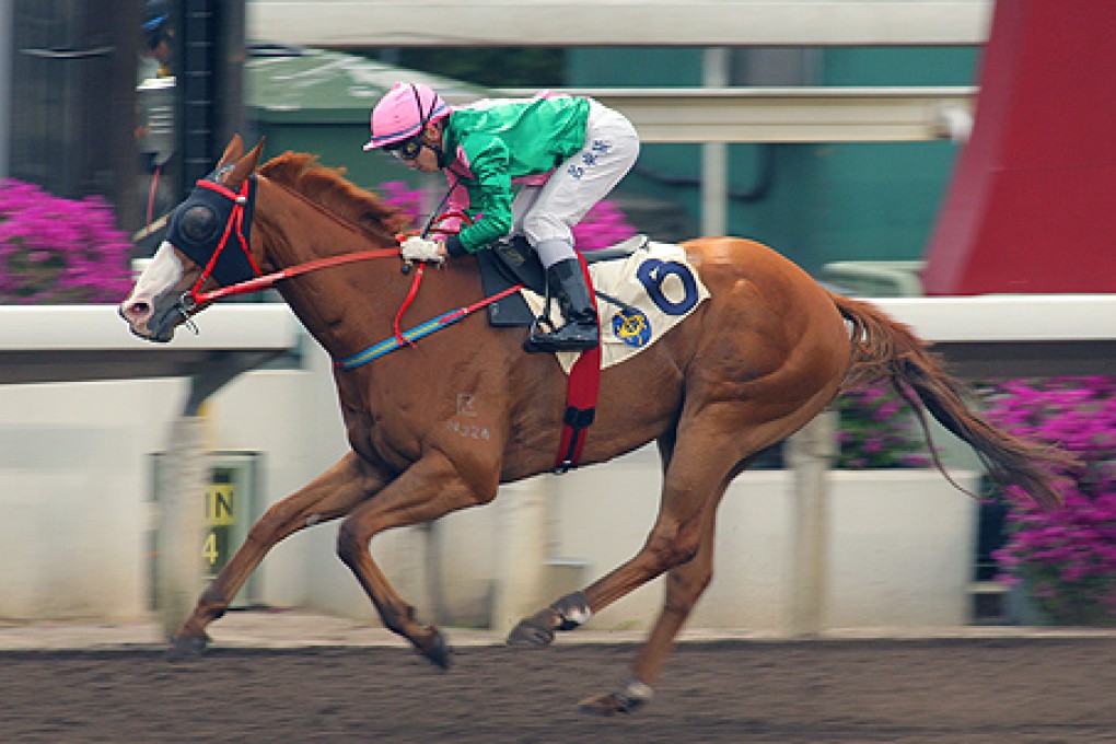 Bundle Of Love steals the show in race nine. Photo: Kenneth Chan