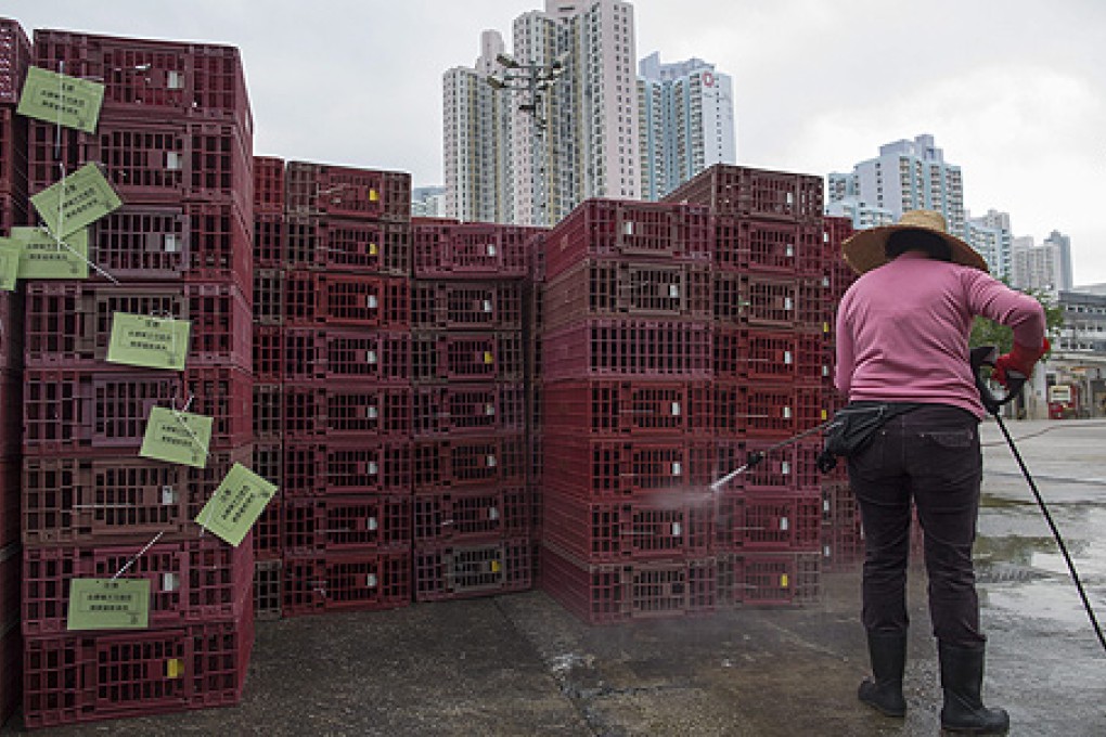 A worker hoses down empty chicken cages at the Cheung Sha Wan Temporary Wholesale Poultry Market in Kowloon. Photo: EPA