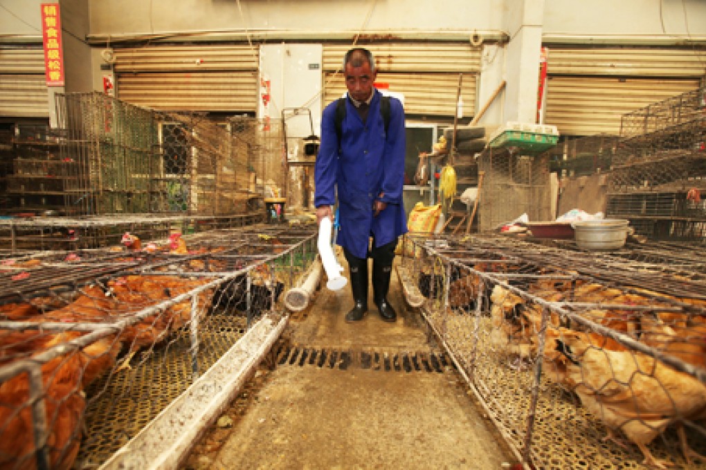 A health worker sprays disinfectant at a closed live poultry trade market in Wuhan, Hebei province. Photo: Xinhua