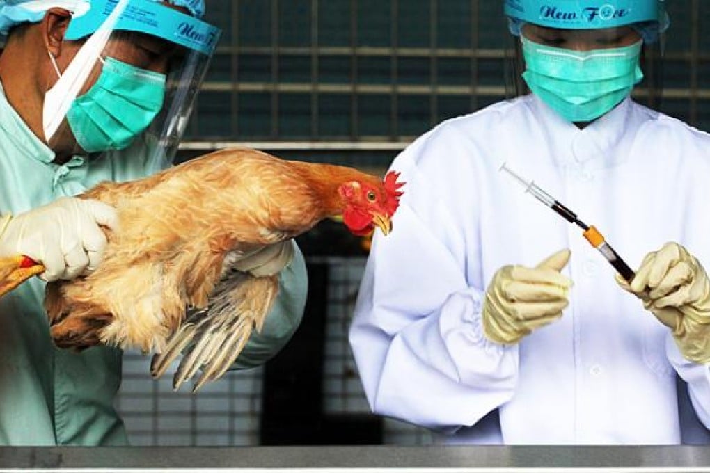 New checks have come into effect at Man Kam To Animal Inspection Station on live poultry being brought into Hong Kong. Photo: Felix Wong