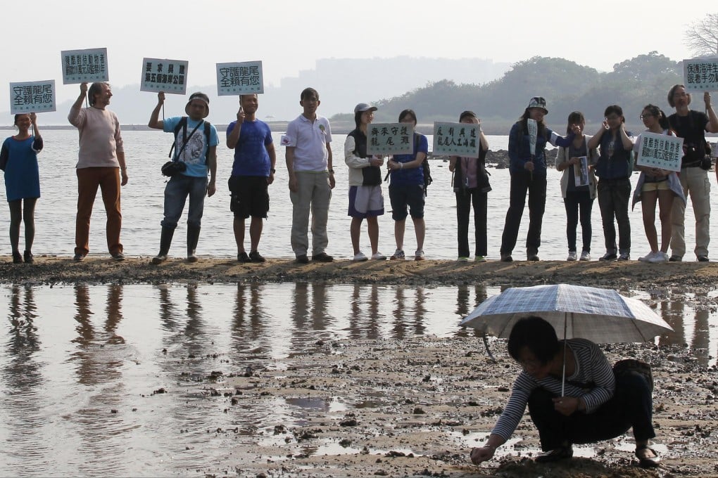 The Save Lung Mei Alliance calls for the protection of the natural shoreline and the sea creatures that call it home. Photo: Edward Wong