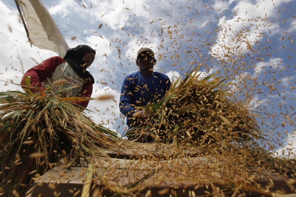 Analysts blame shortages of some crops on complex import licensing procedures and graft. Photo: Reuters