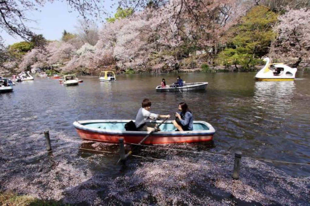 Cherry blossom season is a popular time of year for Hongkongers to visit Japan, and the recent weakness of the country's currency has made it even more appealing. Photo: AFP