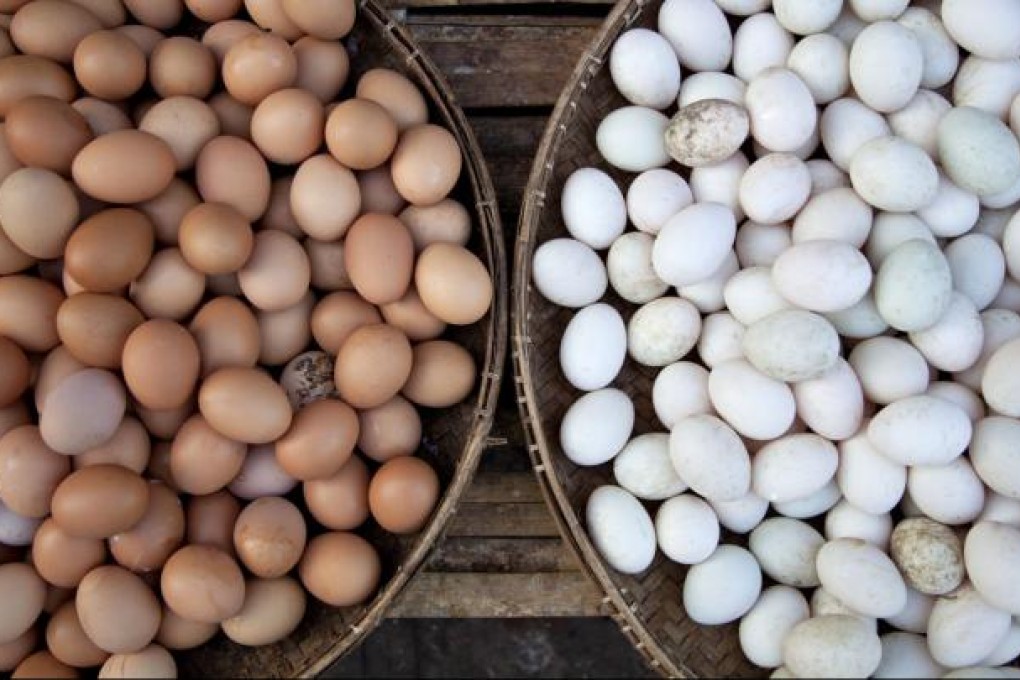 Why not put all your eggs in one basket?