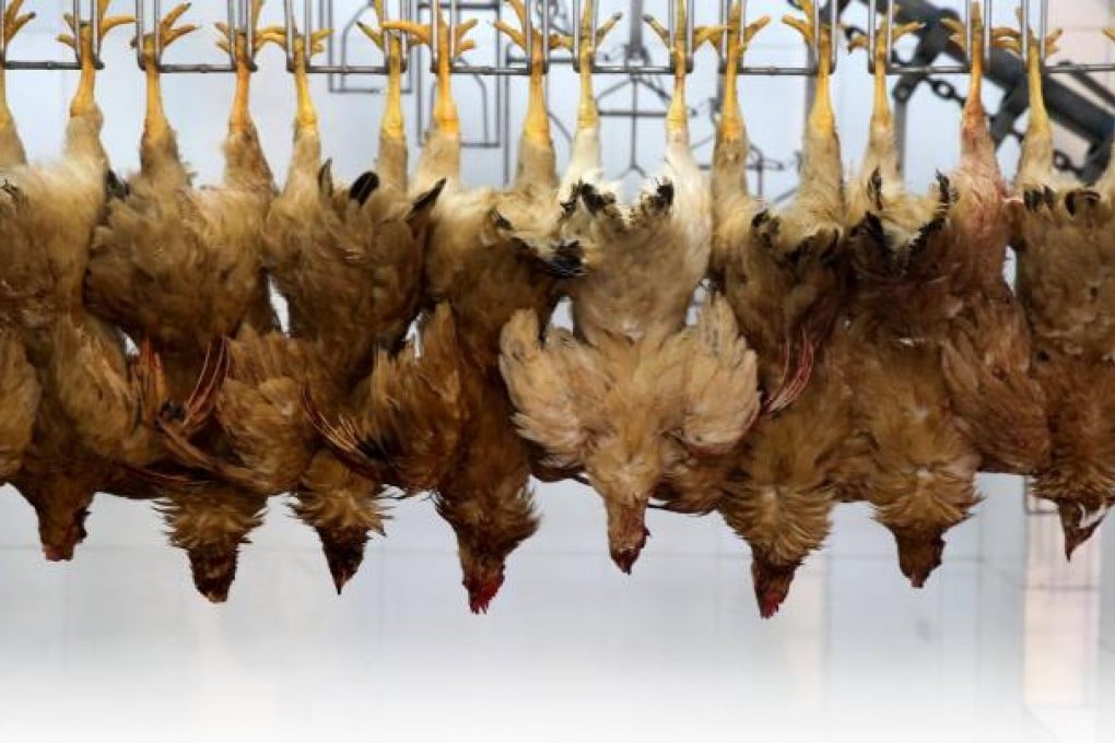 Echoes of Sars in bird flu panic