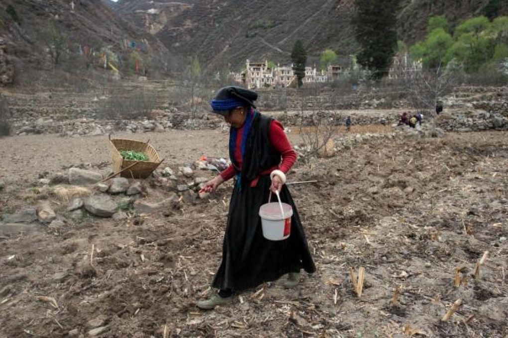 A Tibetan farmer sows seeds in Aba, Sichuan, March 19, 2013. Photo: Xinhua