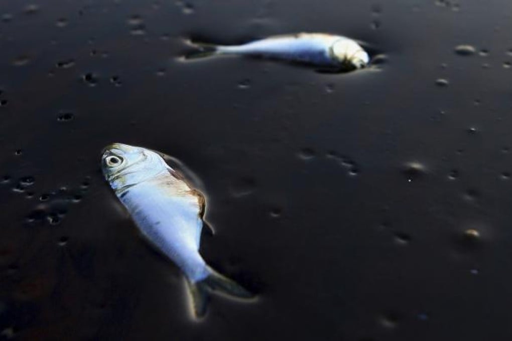 BP spent more than US$14 billion (HK$108.67 billion) responding to and cleaning up after the Deepwater Horizon spill in 2010. Photo: Reuters