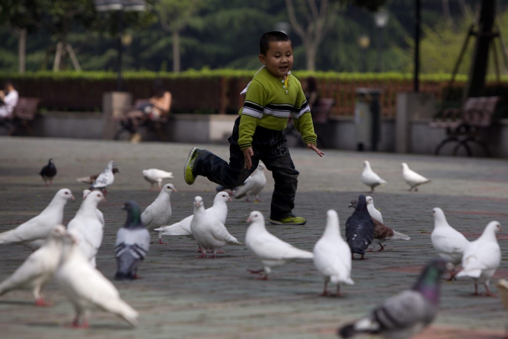 The H7N9 virus strain is mainly transmitted from birds to humans, but human-to-human transmission is, in theory, possible. Photo: EPA
