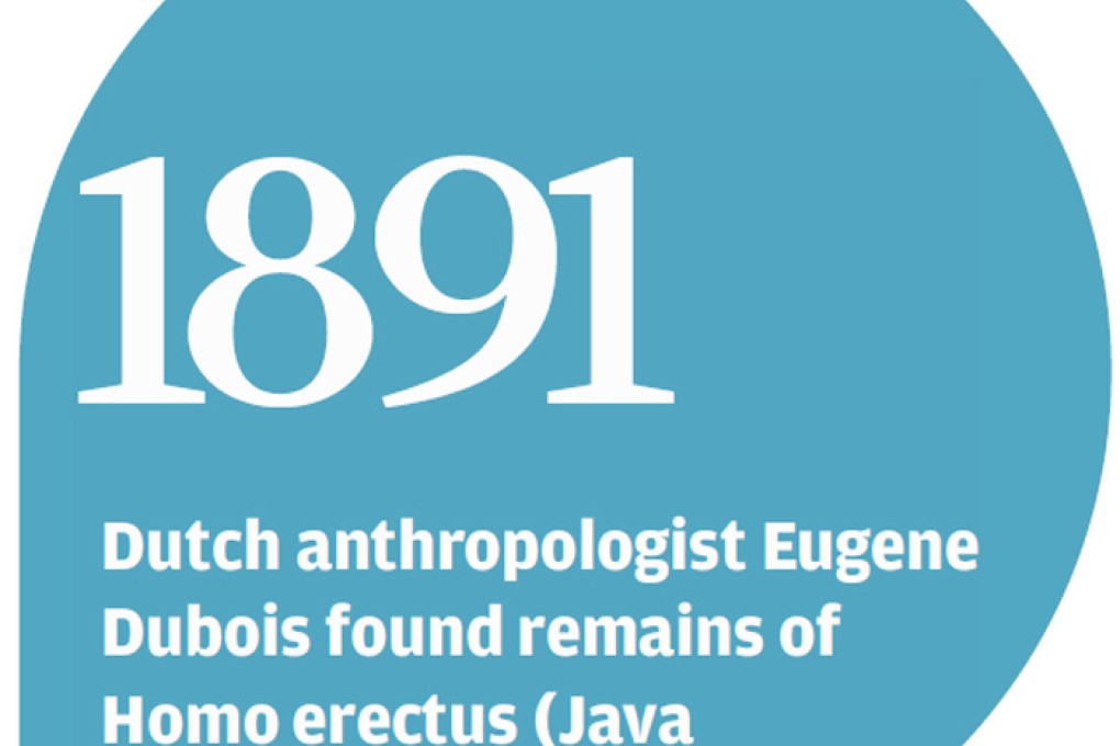 Researchers back claim that Flores 'hobbits' grew smaller as they evolved
