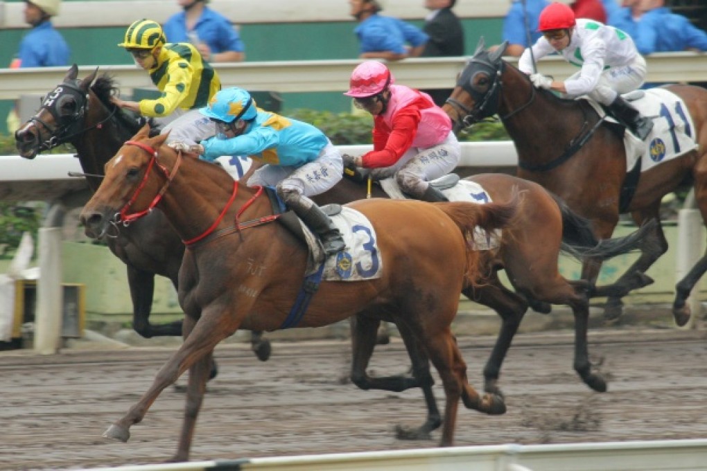 Dars Auto wins the Class Four contest over 1,650m under Alvin Ng and will find himself in Class Three next start. Photos: Kenneth Chan