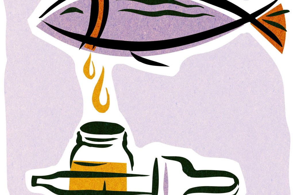 Fish oil and pregnancy