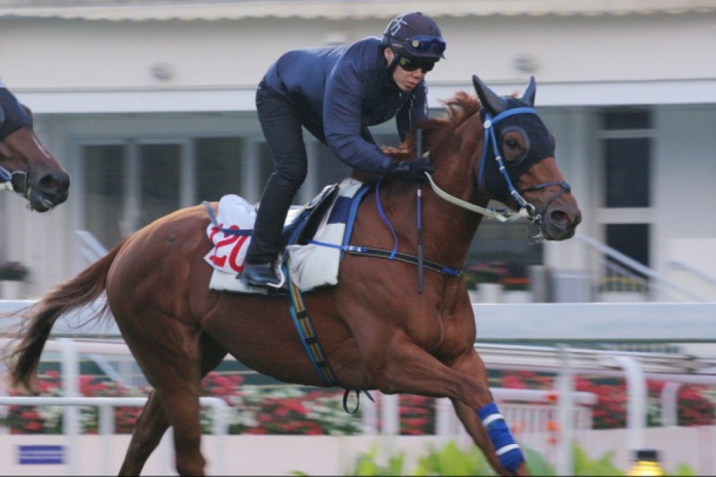 Packing Whiz. Photo: Kenneth Chan