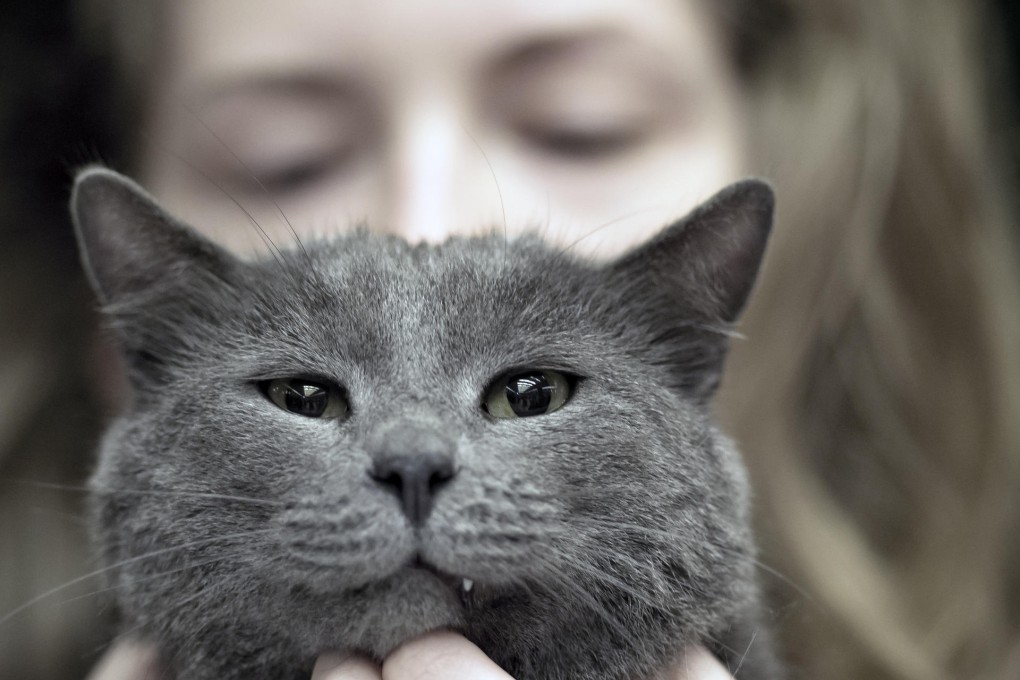 Don't get blue over a pricy pet.