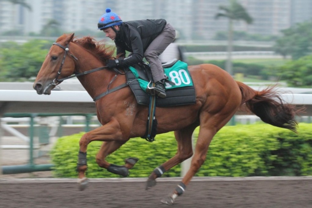 Bundle Of Joy (Brett Prebble) comes down the home stretch looking fit and healthy yesterday.