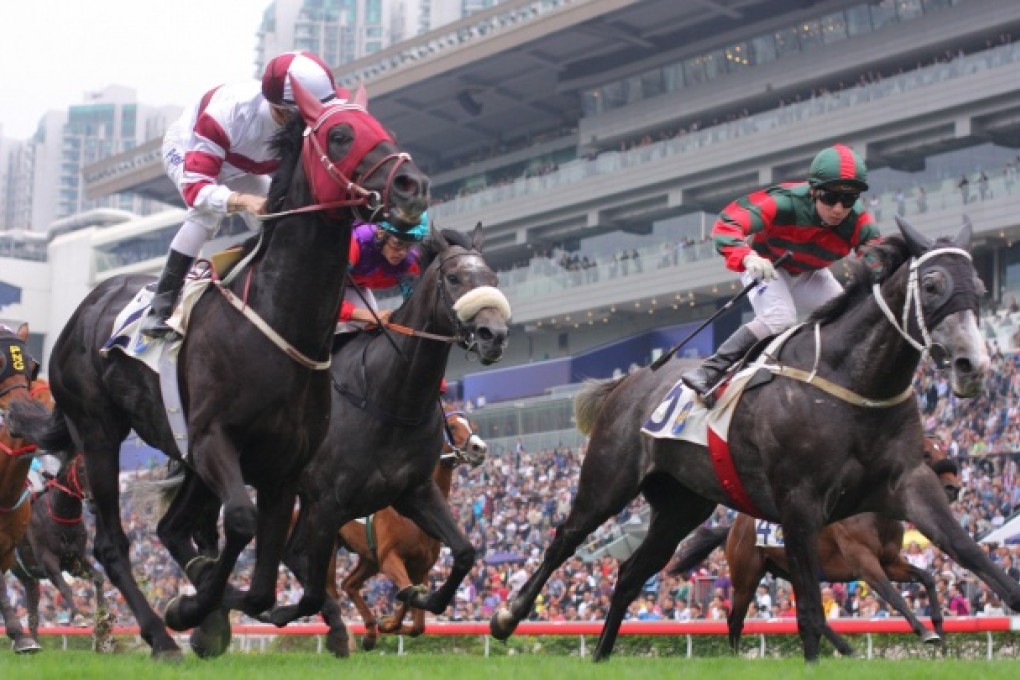 A slow tempo worked to Dominant's (left) advantage.