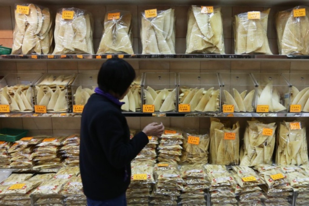 Petition aims to end city's shark fin trade