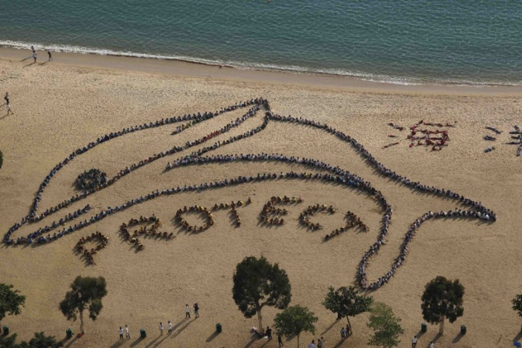 About 800 school children and teachers from 14 schools form the shape of a Chinese white dolphin at Repulse Bay in Hong Kong. Photo: Reuters