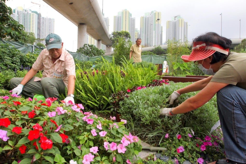Li Ping-kei (left) takes care of plants at "Serene Oasis", the Christian Family Service Centre's garden. Photo: Felix Wong